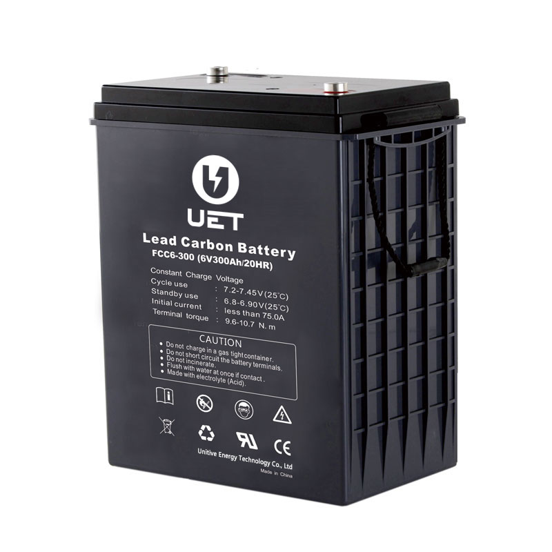 Deep Cycle Lead Carbon Battery